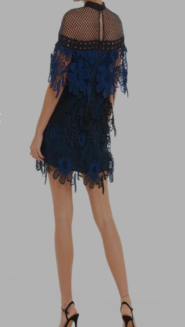 Self Portrait blue dress